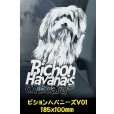 画像10: 【 その他 ビション系 】 スモークウインドウ に映える ホワイト 印字 カーステッカー 【図柄バリエーション】【外張り 内張り ブラック印字】 小型犬 BICHON ビション グループ 【送料無料】【お取り寄せ】 ビション・フリーゼ マルチーズ ハバニーズ === ボロニーズ コトン・ド・テュレアール 犬 わんちゃん 愛犬 カー・ステッカー 外貼り 内貼り ウインドウ 白色印字 黒色印字 可愛い 愛犬ステッカー / ブラック印字は 白いボディに (10)