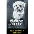 画像8: 【 マルチーズ 】 スモークウインドウ に映える ホワイト 印字 カーステッカー 【図柄バリエーション】【外張り 内張り ブラック印字】 小型犬 マルタ イタリア Maltese 【送料無料】【お取り寄せ】 テリア === ビション ビション系 身体障害者補助犬 介助犬 犬 わんちゃん 愛犬 カー・ステッカー 外貼り 内貼り ウインドウ 白色印字 黒色印字 可愛い 愛犬ステッカー / ブラック印字は 白いボディに (8)