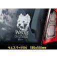 画像6: 【 ウエスティ スコッティ 】 スモークウインドウ に映える ホワイト 印字 カーステッカー 【図柄バリエーション】【外張り 内張り ブラック印字】 小型犬 ウエスティ スコッティ 【送料無料】【お取り寄せ】 ウエスト・ハイランド・ホワイト・テリア スコティッシュ・テリア === Westie Scottie Scottish スコティッシュ・ディアハウンド 犬 わんちゃん 愛犬 カー・ステッカー 外貼り 内貼り ウインドウ 白色印字 黒色印字 可愛い 愛犬ステッカー / ブラック印字は 白いボディに (6)