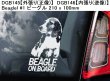 画像14: 【送料無料】カーステッカー【内張り/外張り】Dog on Board,B-【30種より選択/注文販売】 ブルマスティフ,ベドリントンテリア,ブルー ヒーラー(オーストラリアン・キャトル・ドッグ),ビアデッド・コリー,ブリタニー・スパニエル,ビーグル,ブルトン