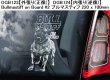 画像3: 【送料無料】カーステッカー【内張り/外張り】Dog on Board,B-【30種より選択/注文販売】 ブルマスティフ,ベドリントンテリア,ブルー ヒーラー(オーストラリアン・キャトル・ドッグ),ビアデッド・コリー,ブリタニー・スパニエル,ビーグル,ブルトン