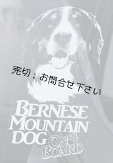 画像: 【送料無料／在庫あり かっこいい おしゃれ ステッカー ご購入後スグ発送】カーステッカー シール【外張り(外貼り)】195 x 100mm■バーニーズマウンテンドッグ