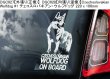 画像15: 【送料無料】カーステッカー【内張り/外張り】Dog on Board,C-【30種より選択/注文販売】チェサピーク・ベイ・レトリーバー,キャバリア・キング・チャールズ・スパニエル,コッカー・スパニエル,コッカープー,カ・デ・ブー,チェサピーク・ベイ・レトリーバー,ケアーン・テリア,チェスキー・テリア,シェスキー・テリア,チェコスロバキアン・ウルフドッグ