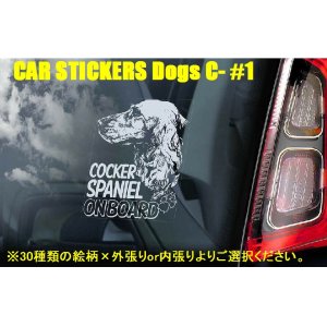 画像: 【送料無料】カーステッカー【内張り/外張り】Dog on Board,C-【30種より選択/注文販売】チェサピーク・ベイ・レトリーバー,キャバリア・キング・チャールズ・スパニエル,コッカー・スパニエル,コッカープー,カ・デ・ブー,チェサピーク・ベイ・レトリーバー,ケアーン・テリア,チェスキー・テリア,シェスキー・テリア,チェコスロバキアン・ウルフドッグ