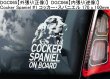 画像4: 【送料無料】カーステッカー【内張り/外張り】Dog on Board,C-【30種より選択/注文販売】イタリアン・コルソ・ドッグ,カネ・コルソ・イタリアーノ,コトン・ド・テュレアール,コッカー・スパニエル,チワワ