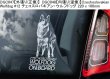 画像10: 【送料無料】カーステッカー【内張り/外張り】Dog on Board,C-【30種より選択/注文販売】チェコスロバキアン・ウルフドッグ,イタリアン・コルソ・ドッグ,カネ・コルソ・イタリアーノ