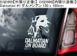 画像4: 【送料無料】カーステッカー【内張り/外張り】Dog on Board,D-【30種より選択/注文販売】ボルドー・マスティフ,ドーグ・ド・ボルドー,ダルメシアン,ダルメシアン ラブラドール ミックス,ダルマドール,ラブメシアン,ダッチ・シェパード,ダンディ・ディンモント・テリア,ジャーマン・ショートヘアード・ポインター,ドイチャー・クルツハーリガー・フォルシュテフンド,ボルドー・マスティフ,ドーグ・ド・ボルドー,ドゴ・アルヘンティーノ,ドゴ・アルベンティーノ,アルゼンチン・ドゴ,アルゼンティニアン・マスティフ