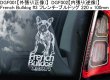 画像2: 【送料無料】カーステッカー【内張り/外張り】Dog on Board,F-【27種より選択/注文販売】フレンチ・ブルドッグ,フォックス・テリア,フラットコーテッド・レトリーバー,フィニッシュ・スピッツ,スウォメンピュスティコルヴァ,フィンスキー,フィニッシュ・ラップフント,フィニッシュ・ラップフンド