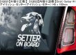 画像12: 【送料無料】カーステッカー【内張り/外張り】Dog on Board,I-【注文販売】アイリッシュ・ウルフハウンド,アイリッシュ・テリア,アイリッシュ・グレン・オブ・イマール・テリア,イタリアン・グレイハウンド,アイリッシュ・セッター,アイリッシュ・セター,スピノーネ・イタリアーノ,イタリアン・スピノーネ,イタリアン・ワイアーヘアード・ポインター,イタリアン・グリフォン,アイリッシュ・ソフトコーテッド・ウィートン・テリア