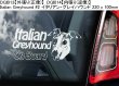 画像8: 【送料無料】カーステッカー【内張り/外張り】Dog on Board,I-【注文販売】アイリッシュ・ウルフハウンド,アイリッシュ・テリア,アイリッシュ・グレン・オブ・イマール・テリア,イタリアン・グレイハウンド,アイリッシュ・セッター,アイリッシュ・セター,スピノーネ・イタリアーノ,イタリアン・スピノーネ,イタリアン・ワイアーヘアード・ポインター,イタリアン・グリフォン,アイリッシュ・ソフトコーテッド・ウィートン・テリア