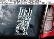 画像2: 【送料無料】カーステッカー【内張り/外張り】Dog on Board,I-【注文販売】アイリッシュ・ウルフハウンド,アイリッシュ・テリア,アイリッシュ・グレン・オブ・イマール・テリア,イタリアン・グレイハウンド,アイリッシュ・セッター,アイリッシュ・セター,スピノーネ・イタリアーノ,イタリアン・スピノーネ,イタリアン・ワイアーヘアード・ポインター,イタリアン・グリフォン,アイリッシュ・ソフトコーテッド・ウィートン・テリア