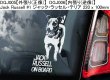 画像4: 【送料無料】カーステッカー【内張り/外張り】Dog on Board,I-【注文販売】ジャック・ラッセル・テリア,秋田犬,ジャパニーズ・アキタ,ジャパニーズ・スピッツ,日本スピッツ,スピッツ,ジャパニーズ・チン,ちん,狆