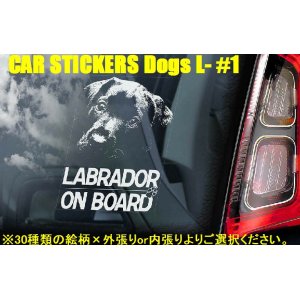 画像: 【送料無料】カーステッカー【内張り/外張り】Dog on Board,L-【30種より選択/注文販売】レオンベルガー,ラサ・アプソ,アプソ・セン・カイ,盲導犬,ラブラドール・レトリバー,子犬,仔犬,身体障害者補助犬,チョコレート・ラブラドール・レトリバー,ブラック・ラブラドール・レトリバー