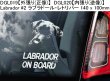 画像11: 【送料無料】カーステッカー【内張り/外張り】Dog on Board,L-【30種より選択/注文販売】レオンベルガー,ラサ・アプソ,アプソ・セン・カイ,盲導犬,ラブラドール・レトリバー,子犬,仔犬,身体障害者補助犬,チョコレート・ラブラドール・レトリバー,ブラック・ラブラドール・レトリバー