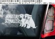 画像5: 【送料無料】カーステッカー【内張り/外張り】Dog on Board,M-【30種より選択/注文販売】ベルジアン・シェパード・ドッグ・マリノア,ミニチュア・シュナウザー,シュナウザー,ミニチュア・ピンシャー,モーキエ,マルキースィエ雄 X ヨークシャー・テリア雌,マルクスドルファー・ウルフドッグ,マルチーズ,マンチェスター・テリア,ジェントルマンズ・テリア,トイ・マンチェスター・テリア