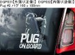 画像2: 【送料無料】カーステッカー【内張り/外張り】Dog on Board,P-【30種より選択/注文販売】パグ,ポデンコ・イビセンコ,イビザン ・ ハウンド,ポメラニアン,プチ・ブラバンソン,ファレーヌ,エパニョール・ナイン・コンチネンタル,パピヨン