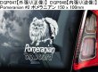画像10: 【送料無料】カーステッカー【内張り/外張り】Dog on Board,P-【30種より選択/注文販売】パグ,ポデンコ・イビセンコ,イビザン ・ ハウンド,ポメラニアン,プチ・ブラバンソン,ファレーヌ,エパニョール・ナイン・コンチネンタル,パピヨン
