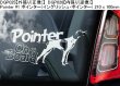 画像14: 【送料無料】カーステッカー【内張り/外張り】Dog on Board,P-【30種より選択/注文販売】ポデンコ・イビセンコ,イビザン ・ ハウンド,プチ・バセット・グリフォン・バンデーン,ピンシャー,ミニチュア・ピンシャー,プードル,トイ・プードル,ポインター,イングリッシュ・ポインター,パターデール・テリア,パタデール・テリア,パグ