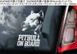 画像3: 【送料無料】カーステッカー【内張り/外張り】Dog on Board,P-【30種より選択/注文販売】ピットブル,アメリカン・ピット・ブル・テリア,スタッフォードシャー・テリア,ピカルディ・シープドッグ,ピカーディ・シープドッグ,ピカルディ・シェパード,ピカーディ・シェパード,ベルジェ・ド・ピカール,バーガー・ピカード,ビションプー,ビショプー,プーチョン,トイプードルXビションフリーゼ ミックス,パーソン・ラッセル・テリア,ピレニアン・シェパード,ベルガー・デ・ピレネー,ピレニアン・マウンテン・ドッグ,グレート・ピレニーズ,トイ・プードル,トイプードル,トイプー