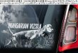 画像2: 【送料無料】カーステッカー デカール【内張り/外張り】Dog on Board,V-【18種より選択/注文販売】ビズラ,ヴィズラ,ビジュラ,ビーシュラ,ショートヘアード・ハンガリアン・ビズラ,ハンガリアン・ビズラ,ヴォルピーノ・イタリアーノ,ボルピーノ,ヴォルピノ,フロレンタイン・スピッツ,フロレンタイン・ヴォルピーノ,カネ・ディ・クウィリナーレ,クウィリナーレ・ドッグ,ウエスト・シベリアン・ライカ,サーパドノ・シビールスカヤ・ライカ,スウェーディッシュ・ヴァルフント,ウエスト・ゴーダー・スペッツ,スウェーデン・キャトル・ドッグ,スウェーデン・シェパード・ドッグ