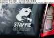 画像13: 【送料無料】カーステッカー【内張り/外張り】Dog on Board,S-【30種より選択/注文販売】スコティッシュ・テリア,スコッティ,アバディーン・テリア,シルキー・テリア,オーストラリアン・シルキー・テリア,オーストラリアン・ヨークシャー・テリア,グレート・スイス・マウンテン・ドッグ,グレーター・スイス・マウンテン・ドッグ,グロッサー・シュヴァイツァー・センネンハント,スタッフォードシャー・ブル・テリア,スタッフィー,身体障害者補助犬,アシスタントドッグ,イングリッシュ・スプリンガー・スパニエル,シェルティー,シェットランド・シープドッグ