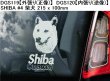 画像16: 【送料無料】カーステッカー【内張り/外張り】Dog on Board,S-【30種より選択/注文販売】柴犬,シュナウザー,ジャイアント・シュナウザー,シーズー,サルーキ,プリント・ハウンド,ペルシアン・グレイハウンド,ガゼル・ハウンド,オールド・イングリッシュ・シープドッグ,アジリティー・シェルティー