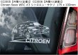 画像15: 【送料無料】カーステッカー【内張り/外張り】Motorsport,F1,ドライバー,WRC,カーレース,ワールドラリー【注文販売】アルベルト・アスカリ,アイルトン・セナ,BMW,ビーエム,ビーエムダブリュー,シャルル・ルクレール,シトロエン,ALBERTO ASCARI,AYRTON SENNA,Charles Leclerc,Citroen,C4,Saxo,DS3,WRC