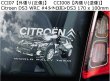 画像16: 【送料無料】カーステッカー【内張り/外張り】Motorsport,F1,ドライバー,WRC,カーレース,ワールドラリー【注文販売】アルベルト・アスカリ,アイルトン・セナ,BMW,ビーエム,ビーエムダブリュー,シャルル・ルクレール,シトロエン,ALBERTO ASCARI,AYRTON SENNA,Charles Leclerc,Citroen,C4,Saxo,DS3,WRC