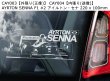 画像4: 【送料無料】カーステッカー【内張り/外張り】Motorsport,F1,ドライバー,WRC,カーレース,ワールドラリー【注文販売】アルベルト・アスカリ,アイルトン・セナ,BMW,ビーエム,ビーエムダブリュー,シャルル・ルクレール,シトロエン,ALBERTO ASCARI,AYRTON SENNA,Charles Leclerc,Citroen,C4,Saxo,DS3,WRC