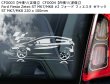 画像12: 【送料無料】カーステッカー【内張り/外張り】Motorsport,F1,WRC,カーレース,ワールドラリー【注文販売】ニュルブルクリンク,モンツァ・サーキット,フェルナンド・アロンソ,新フィアット500,フォード フィエスタ ゼテック ST MK6,ST MK7/MK8,ジル・ヴィルヌーヴ,ジャン・アレジ,ジェンソン・バトン,Nurburgring,Circuit,Monza,Nurburgring,Fernando Alonso,Fiat,Nuovo,ESSE,Ford Fiesta Zetec,Gilles Villeneuve,JEAN ALESI,Jenson Button