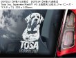 画像14: 【送料無料】カーステッカー【内張り/外張り】【注文販売】Dog on Board【日本犬特集】秋田犬,ジャパニーズ・アキタ,アメリカン・アキタ,柴犬,土佐闘犬,土佐犬,ジャパニーズ・マスティフ,四国犬,ジャパニーズ・ウルフドッグ