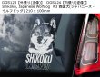 画像3: 【送料無料】カーステッカー【内張り/外張り】Dog on Board,S-【注文販売】柴犬,四国犬,ジャパニーズ・ウルフドッグ,ジャパニーズ・スピッツ,サモエド,シベリアン・スピッツ,スピッツ,シュタバイフーン,フリージアン・ポインター,ベイケ,スコティッシュ・ディアハウンド,スムース・コリー,スコッチ・コリー