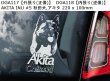 画像7: 【送料無料】カーステッカー【内張り/外張り】【注文販売】Dog on Board【日本犬特集】秋田犬,ジャパニーズ・アキタ,アメリカン・アキタ,柴犬,土佐闘犬,土佐犬,ジャパニーズ・マスティフ,四国犬,ジャパニーズ・ウルフドッグ