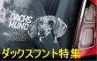 画像1: 【送料無料】カーステッカー【内張り/外張り】【注文販売】Dog on Board【ダックスフント特集】ダックスフント,ダックスフンド,ダックス,ワイヤーへアード・ダックスフント,スムースヘアード・ダックスフント,ショートヘアード・ダックスフント,ラフヘアード・ダックスフント,テッケル,ミニチュア・ダックスフント,ミニチュアダックス,Mダックスフンド