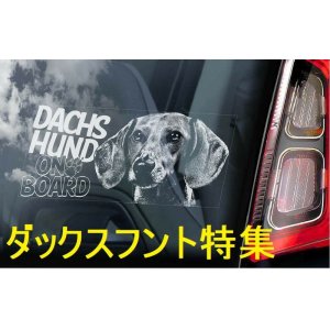 画像: 【送料無料】カーステッカー【内張り/外張り】【注文販売】Dog on Board【ダックスフント特集】ダックスフント,ダックスフンド,ダックス,ワイヤーへアード・ダックスフント,スムースヘアード・ダックスフント,ショートヘアード・ダックスフント,ラフヘアード・ダックスフント,テッケル,ミニチュア・ダックスフント,ミニチュアダックス,Mダックスフンド