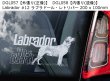 画像13: 【送料無料】カーステッカー【内張り/外張り】【注文販売】Dog on Board【ラブラドール特集】ラブラドール・レトリバー,ラブ, ブラック・ラブラドール・レトリバー,ラブ・テイスティッド