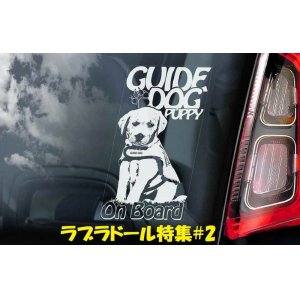 画像: 【送料無料】カーステッカー【内張り/外張り】【注文販売】Dog on Board【ラブラドール特集】ラブラドール・レトリバー,ラブ, ブラック・ラブラドール・レトリバー,ラヴ・テイスティッド,盲導犬 ,盲導犬(子犬,仔犬),身体障害者補助犬,自閉症児向け介助犬,ダルメシアン ラブラドール ミックス,ダルマドール,ラブメシアン