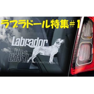 画像: 【送料無料】カーステッカー【内張り/外張り】【注文販売】Dog on Board【ラブラドール特集】ラブラドール・レトリバー,ラブ, ブラック・ラブラドール・レトリバー,ラブ・テイスティッド