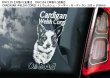 画像11: 【送料無料】カーステッカー【内張り/外張り】【注文販売】Dog on Board【中型犬特集】フレンチ・ブルドッグ,フレンチブルドッグ,フレンチブル,柴犬,ウェルシュ・コーギー・カーディガン,ウェルシュ・コーギー・ペンブローク,ウェルシュ・コーギー,ウェルシュコーギー,コーギー,ボストンテリア,ボストン・テリア,ボーダーコリー,ボーダー・コリー,コリー