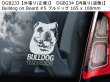 画像13: 【送料無料】カーステッカー【内張り/外張り】【注文販売】Dog on Board【中型犬特集】シェルティー,シェットランド・シープドッグ,シェットランドシープドッグ,シェットランド,シープドッグ,ジャパニーズ・スピッツ,ジャパニーズスピッツ,スピッツ,ブルドッグ