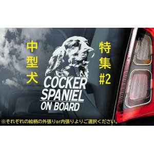 画像: 【送料無料】カーステッカー【内張り/外張り】【注文販売】Dog on Board【中型犬特集】ボーダーコリー,ボーダー・コリー,コリー,アジリティ,アジリティ・ドッグ,ビーグル,アメリカン・コッカー・スパニエル,アメリカンコッカースパニエル,アメリカン・コッカー,コッカー・スパニエル ,コッカースパニエル,シェルティー,シェットランド・シープドッグ,シェットランドシープドッグ,シェットランド,シープドッグ