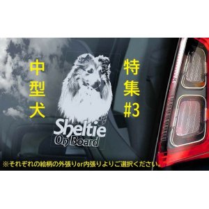 画像: 【送料無料】カーステッカー【内張り/外張り】【注文販売】Dog on Board【中型犬特集】シェルティー,シェットランド・シープドッグ,シェットランドシープドッグ,シェットランド,シープドッグ,ジャパニーズ・スピッツ,ジャパニーズスピッツ,スピッツ,ブルドッグ