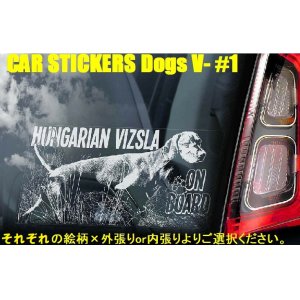 画像: 【送料無料】カーステッカー デカール【内張り/外張り】Dog on Board,V-【18種より選択/注文販売】ビズラ,ヴィズラ,ビジュラ,ビーシュラ,ショートヘアード・ハンガリアン・ビズラ,ハンガリアン・ビズラ,ヴォルピーノ・イタリアーノ,ボルピーノ,ヴォルピノ,フロレンタイン・スピッツ,フロレンタイン・ヴォルピーノ,カネ・ディ・クウィリナーレ,クウィリナーレ・ドッグ,ウエスト・シベリアン・ライカ,サーパドノ・シビールスカヤ・ライカ,スウェーディッシュ・ヴァルフント,ウエスト・ゴーダー・スペッツ,スウェーデン・キャトル・ドッグ,スウェーデン・シェパード・ドッグ