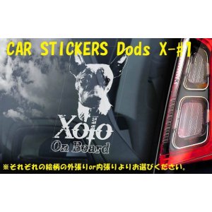 画像: 【送料無料】カーステッカー【内張り/外張り】Dog on Board,X-【注文販売】メキシカン・ヘアレス・ドッグ,ショロ,ショロイッツクゥイントリ,ショロイツクインツレ