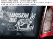 画像5: 【送料無料】カーステッカー【内張り/外張り】Dog on Board,T-【注文販売】タマスカン・ドッグ,タマスカン・ハスキー,ノーザン・イヌイット・ドッグ,ウトナーガン