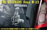 画像: 【送料無料】カーステッカー デカール【内張り/外張り】Dog on Board,W-【注文販売】ワイマラナー,ワイマラナー・フォルステフント)