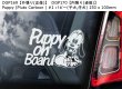 画像11: 【送料無料】カーステッカー【内張り/外張り】Dog on Board,P-【注文販売】プラッキー・クリサリク,プラシュスキー・クリサジーク,プラーガー・ラトラー,足跡,足型,オールド・ダーニッシュ・ポインター,オールド・デニッシュ・ポインター,ガンメル・ダンクス・ハンスフント,ポーリッシュ・ハンティング・ドッグ,ポリッシュ・ハンティング・ドッグ,ゴンチ・ポルスキ,プーミー,ハンガリアン・プーミー,ハンガリアン・ハーディング・テリア,パピー,子犬,仔犬,プルート,ポデンゴ・ポルトゥゲス,ポデンゴ・ポーチュギース,ポーチュギース・ポデンゴ,ポーチュギーズ・ウォーレン・ハウンド,ポーチュギース・ウォーレン・ハウンド,ポルトゥゲス・ウォーレン・ハウンド,パグ