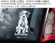 画像2: 【送料無料】カーステッカー【内張り/外張り】Dog on Board,K-【注文販売】クロムフォルレンダー,コーイケルホンディエ,コイケルホンド,コイケル