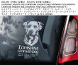 画像2: 【送料無料】カーステッカー 【内張り/外張り】Dog on Board,L-【注文販売】ルイジアナ・レパード・ドッグ,ルイジアナ・カタフーラ・レパード・ドッグ,カタフーラ・レパード・ドッグ,レパード・ドッグ,カタフーラ・カー,カタフーラ・ホッグ・ドッグ,カタフーラ・ハウンド