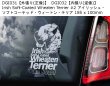 画像2: 【送料無料】カーステッカー【内張り/外張り】Dog on Board,I-【注文販売】アイリッシュ・ソフトコーテッド・ウィートン・テリア,アイスランド・シープドッグ,アイスランド・ドッグ,フリーアー・ドッグ,イタリアン・グレイハウンド